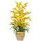 2.5ft. Yellow Triple Dancing Lady Orchid Arrangement in Planter